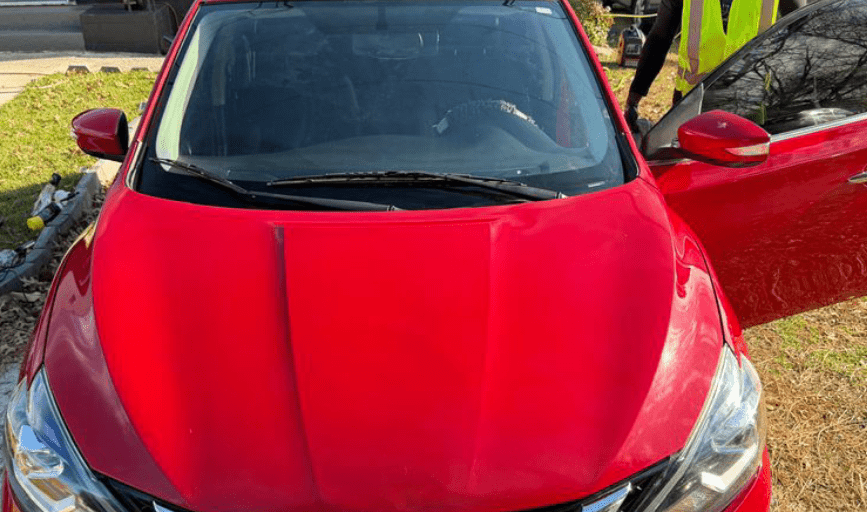 PAINT CORRECTION